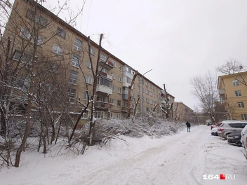 Деревья варварски опилили, считают местные жители | Источник: Денис Жуков