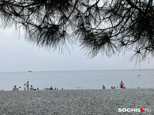 Здесь смешивается аромат моря и сосен | Источник: Анна Грицевич / SOCHI1.RU