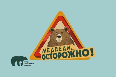 ВТБ и Фонд защитников природы запускают проект «Земля медведя»