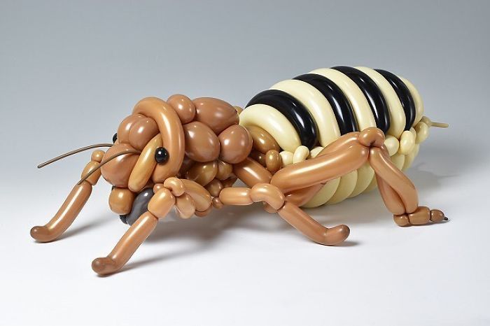 Скульптор недели: японец делает насекомых из воздушных шариков