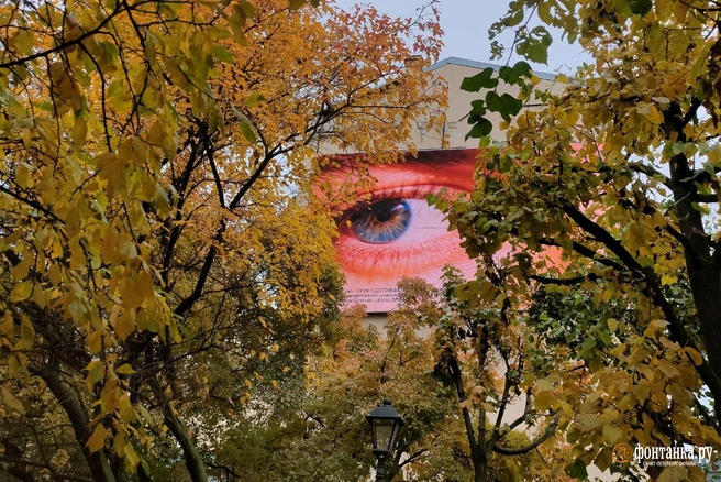 Обширная циклоническая система наступает на Петербург | Источник: Михаил Огнев / «Фонтанка.ру»