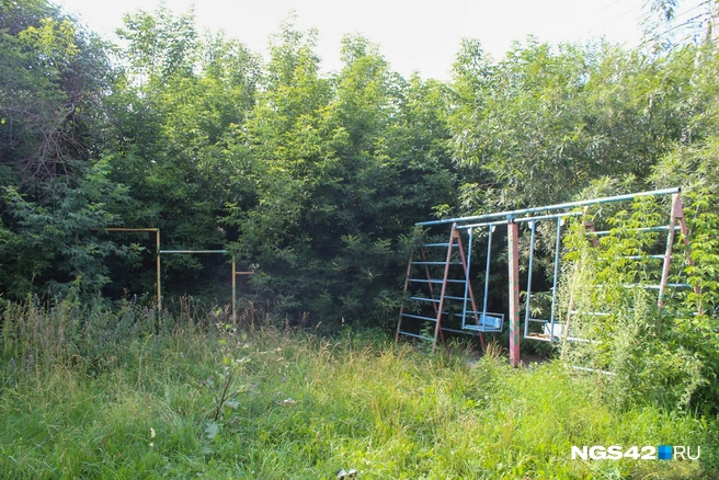 Источник: Александр Левчук / NGS42.RU