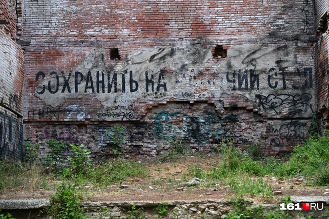 Источник: Анатолий Карбинов / 161.RU