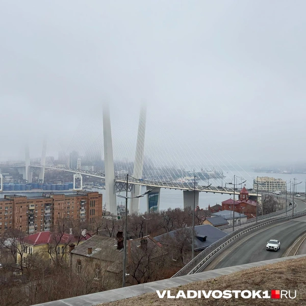 Источник: Елена Буйвол / VLADIVOSTOK1.RU