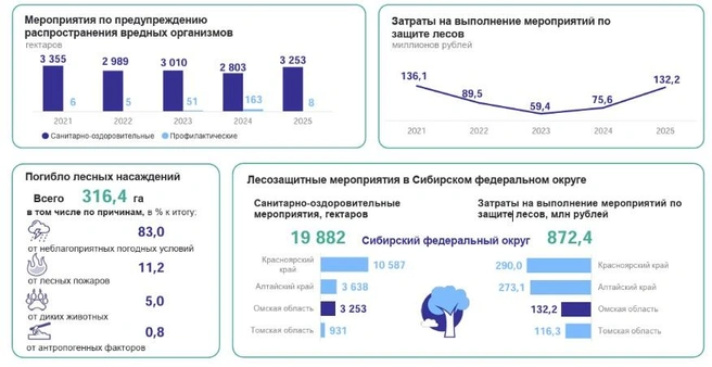Статистика за 2025 год | Источник: 55.rosstat.gov.ru