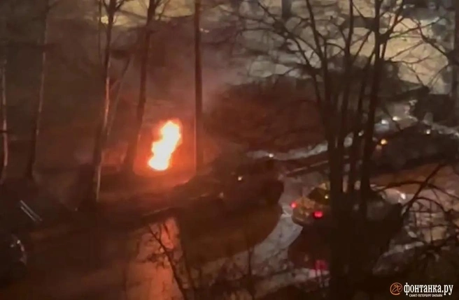 «Ростелеком» назвал серьезными повреждения на сетях в Петербурге | Источник: читательница «Фонтанки» Юлия