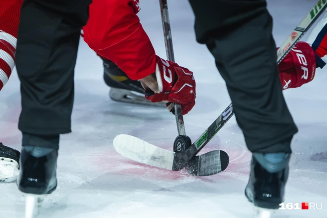 Источник: Евгений Вдовин / 161.RU