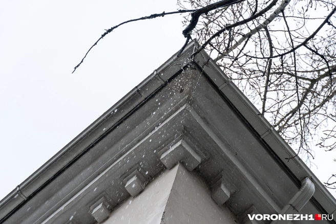 Еще может идти мокрый снег | Источник: Дмитрий Волгин / Voronezh1.ru