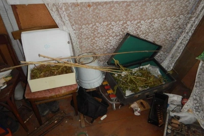 Житель Потьмы осужден за хранение марихуаны в обувной коробке и чемодане
