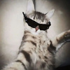 userpic__Юлия Перова