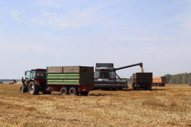 На сегодняшний день в регионе собрано 1 256 500 тонн зерновых и зернобобовых культур | Источник: пресс-служба правительства Тюменской области