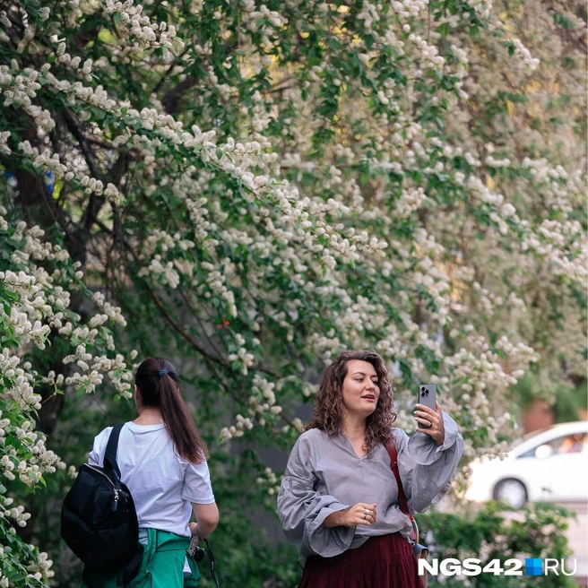 Горожане используют яблони как место для фотосессий | Источник: Максим Серков / NGS42.RU
