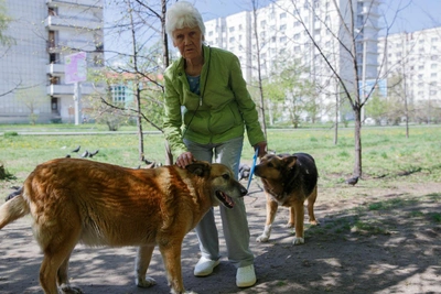 Альбина Гордеевна против всех: история спасения собак в Тюмени