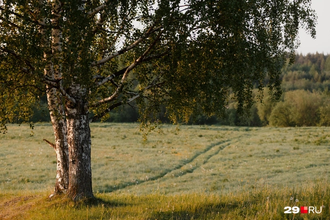 Источник: Иван Митюшёв