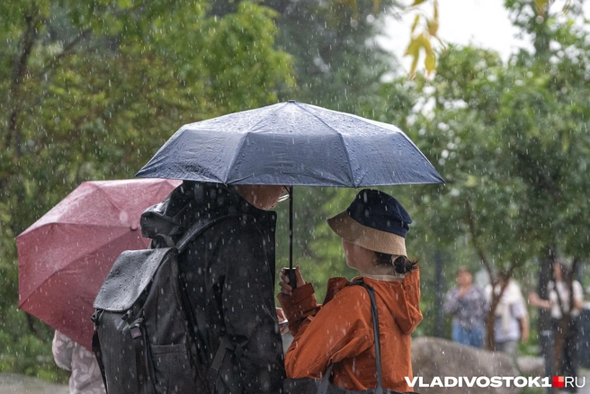 Осадки будут короткими и далеко не везде | Источник: Елена Буйвол / VLADIVOSTOK1.RU