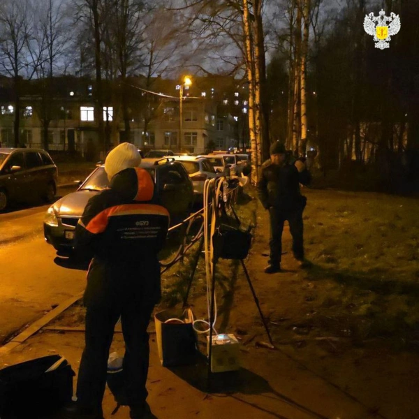 Источник: Роспотребнадзор Санкт-Петербург и Ленинградская область