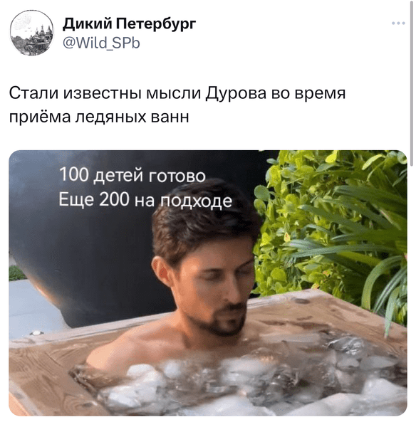 Лучшие шутки и мемы про 100 детей Павла Дурова