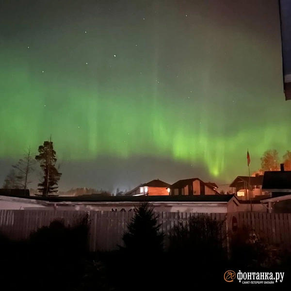 Источник: читатель «Фонтанки»