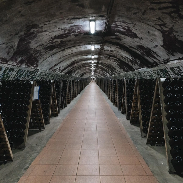 Источник: Андрей Белавин