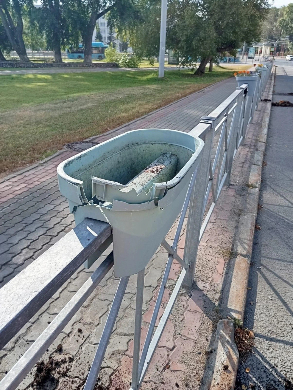 Источник: Администрация Архангельска