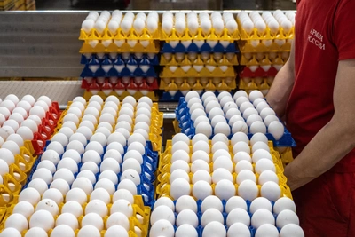 Яйца снова дорожают в Иркутске: актуальные цены