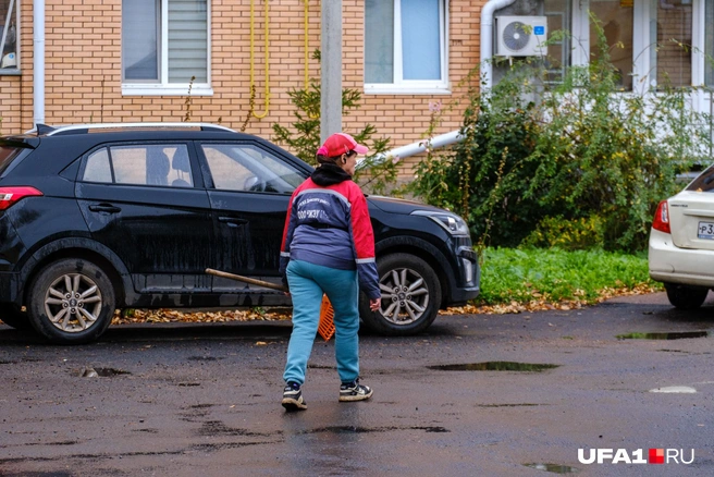 На борьбу с листвой | Источник: Булат Салихов / UFA1.RU