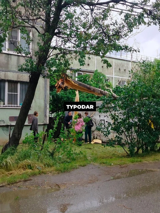 Здесь дерево упало на гараж | Источник: Туподар Краснодар / T.me