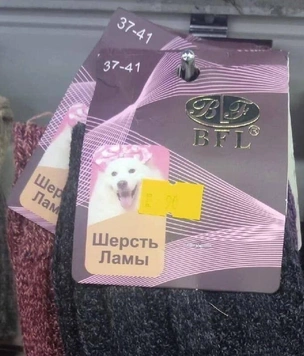 13 картинок недели и минус песни «Гражданской обороны»