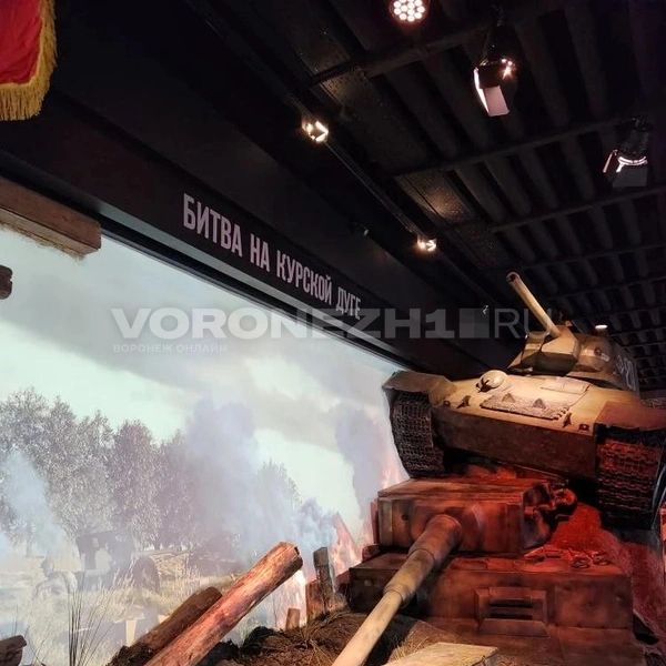 Источник: Ирина Булгакова/ Voronezh1.ru