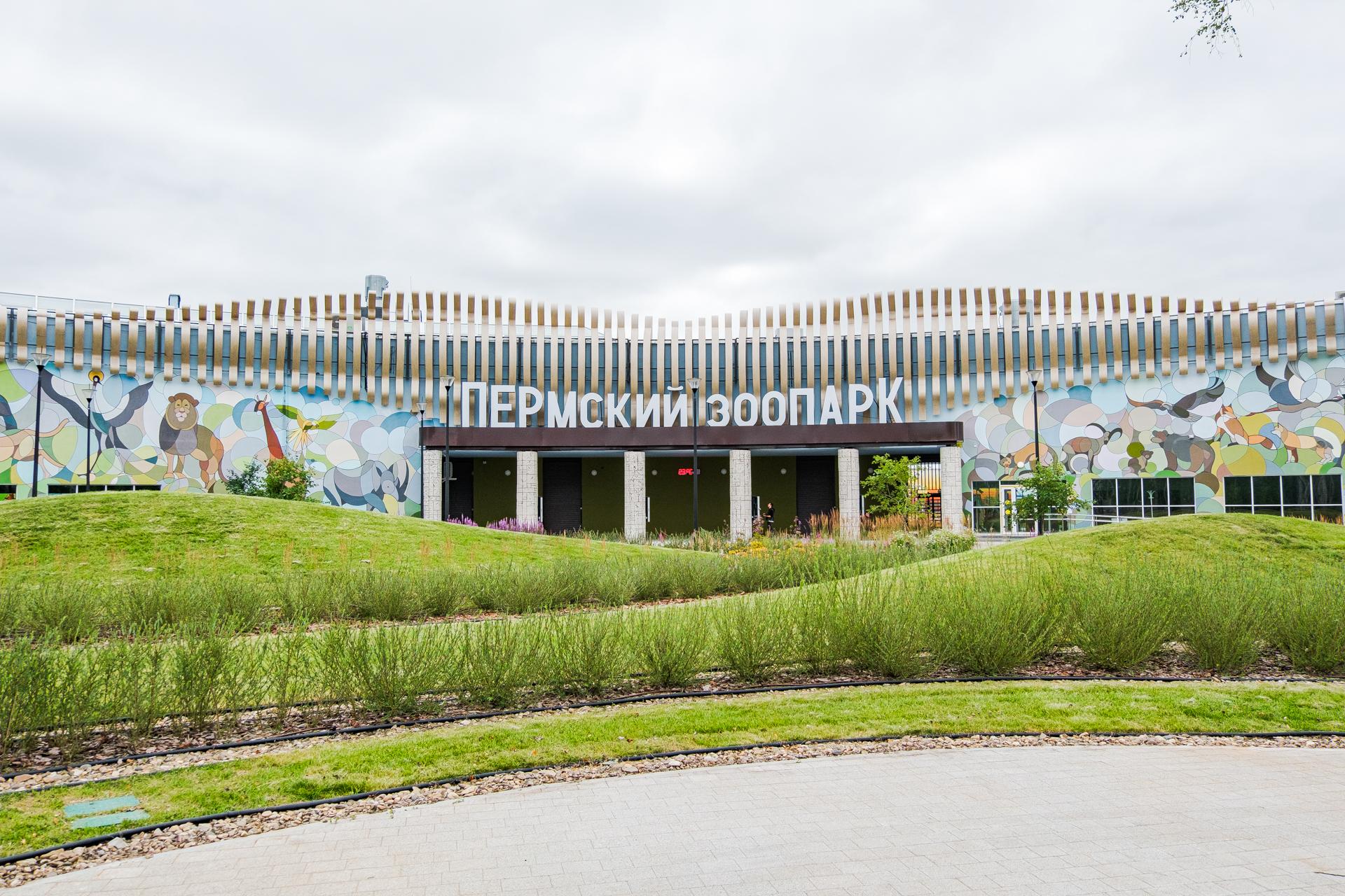 В новый Пермский зоопарк можно прийти уже сегодня: как он работает и столько стоят билеты