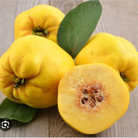 Аватарка Айва