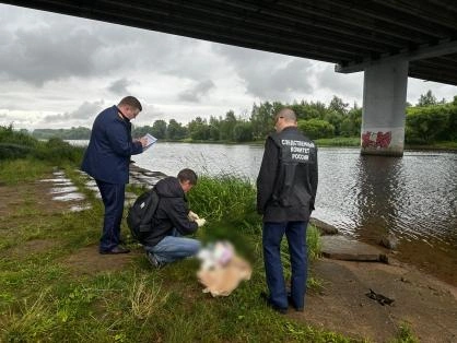 В Ярославле мать утопила в реке 10-месячную дочку. Семилетний сын смог сбежать | Источник: СК по Ярославской области