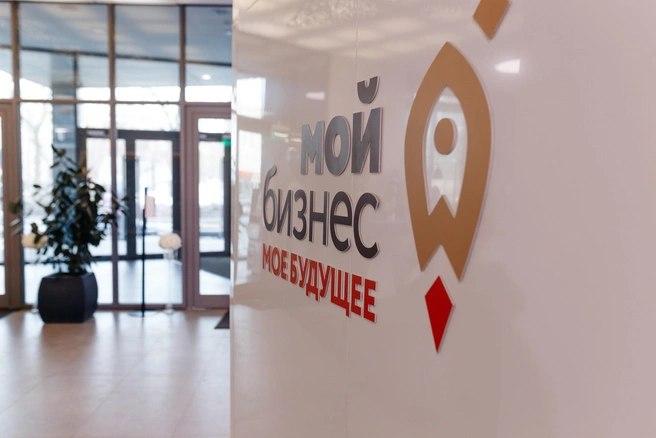 Реализация мер поддержки малого и среднего предпринимательства продолжается по нацпроекту «Эффективная и конкурентная экономика» | Источник: «Мой бизнес»