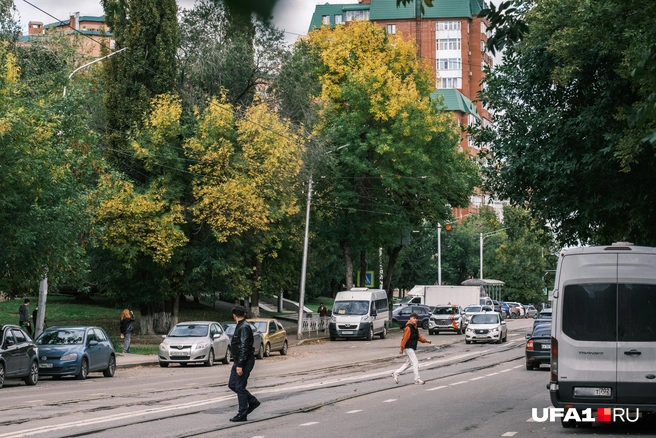 Кое-где еще достаточно зелено | Источник: Булат Салихов / UFA1.RU