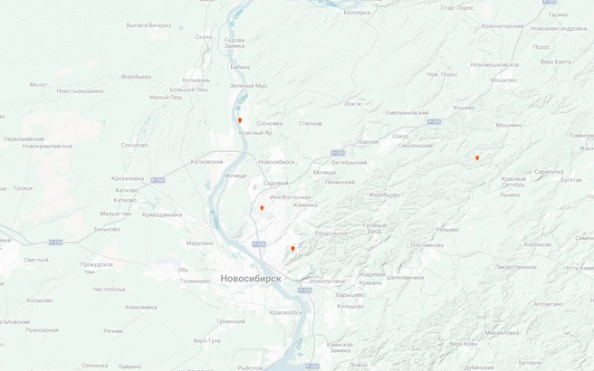 Сморчок — достаточно редкая находка в Новосибирской области | Источник: inaturalist.org