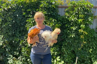 Barnaul woman breeds prize-winning ornamental chickens