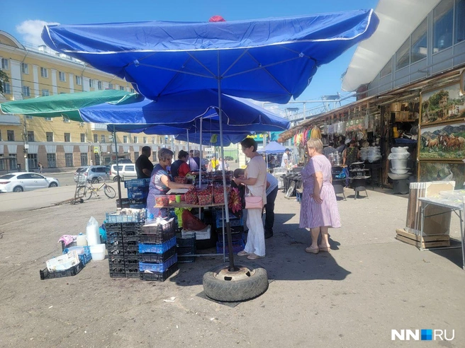 Купить сезонную продукцию можно в палатках на входе  | Источник: Кристина Калинина / NN.RU