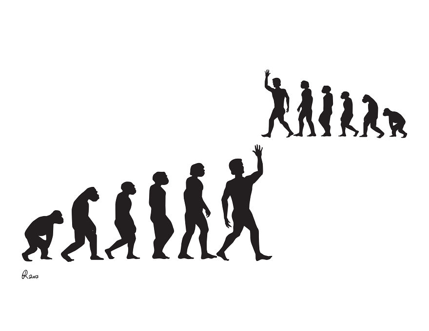 Пару  картинок про эволюцию :-) Хулиганство