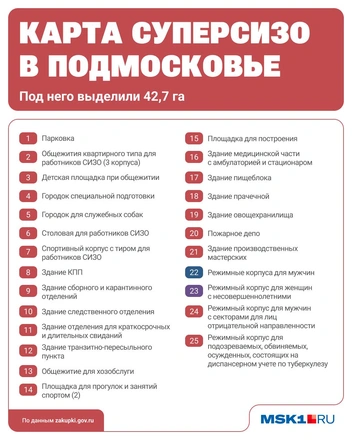 Показываем наглядно, что будет на территории | Источник: Серафима Пантыкина / MSK1.RU