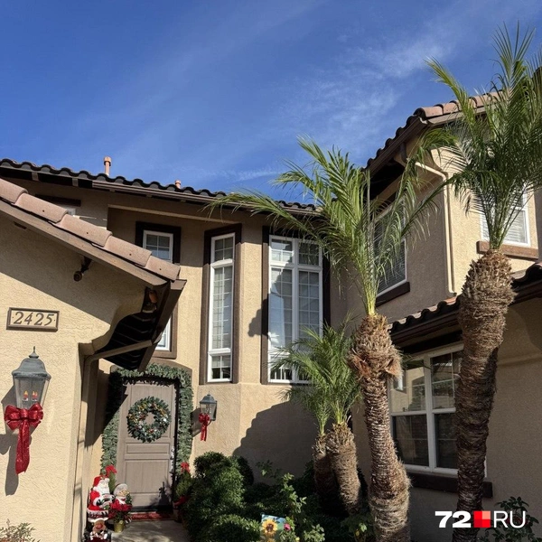 Пальмы и Рожество. Все логично | Источник: Читатель 72.RU