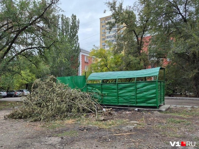 Эта свалка, по словам представителя регионального оператора, выглядит еще вполне себе приемлемо | Источник: Ирина Яковлева / V1.RU