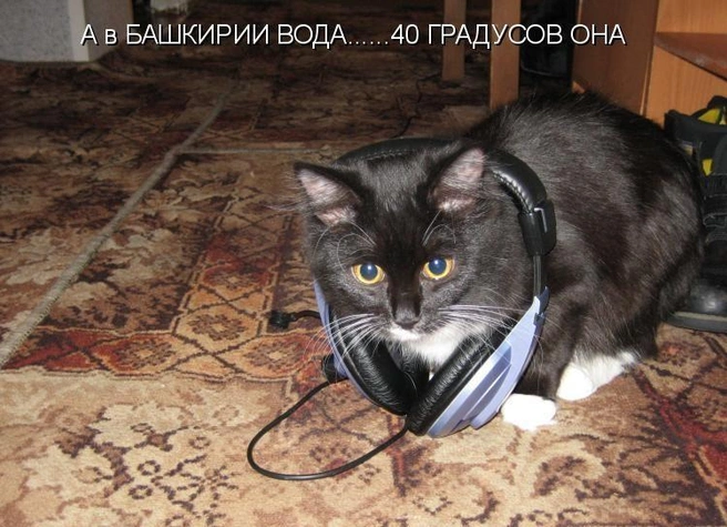 Перед вами один из ранних мемов, где упоминается фраза про особую воду Башкирии, его загрузили в Сеть в марте 2010 года | Источник: Ray00g / kotomatrix.ru