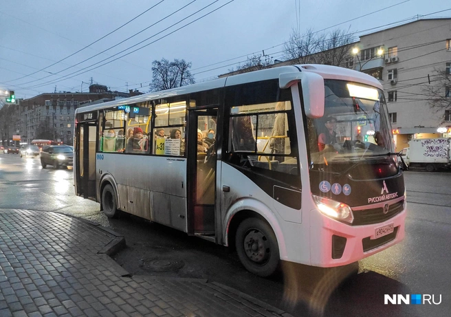 Изменения коснутся сразу нескольких автобусных маршрутов | Источник: Наталья Бурухина / NN.RU