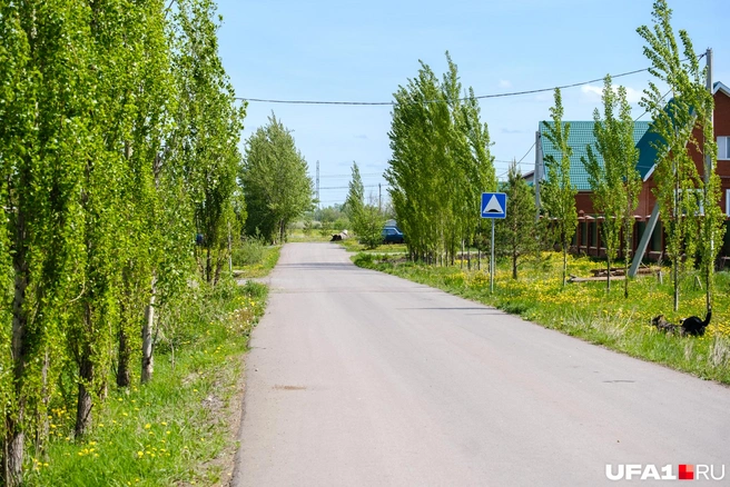 Не так давно тут ездили по гравийке | Источник: Булат Салихов / UFA1.RU