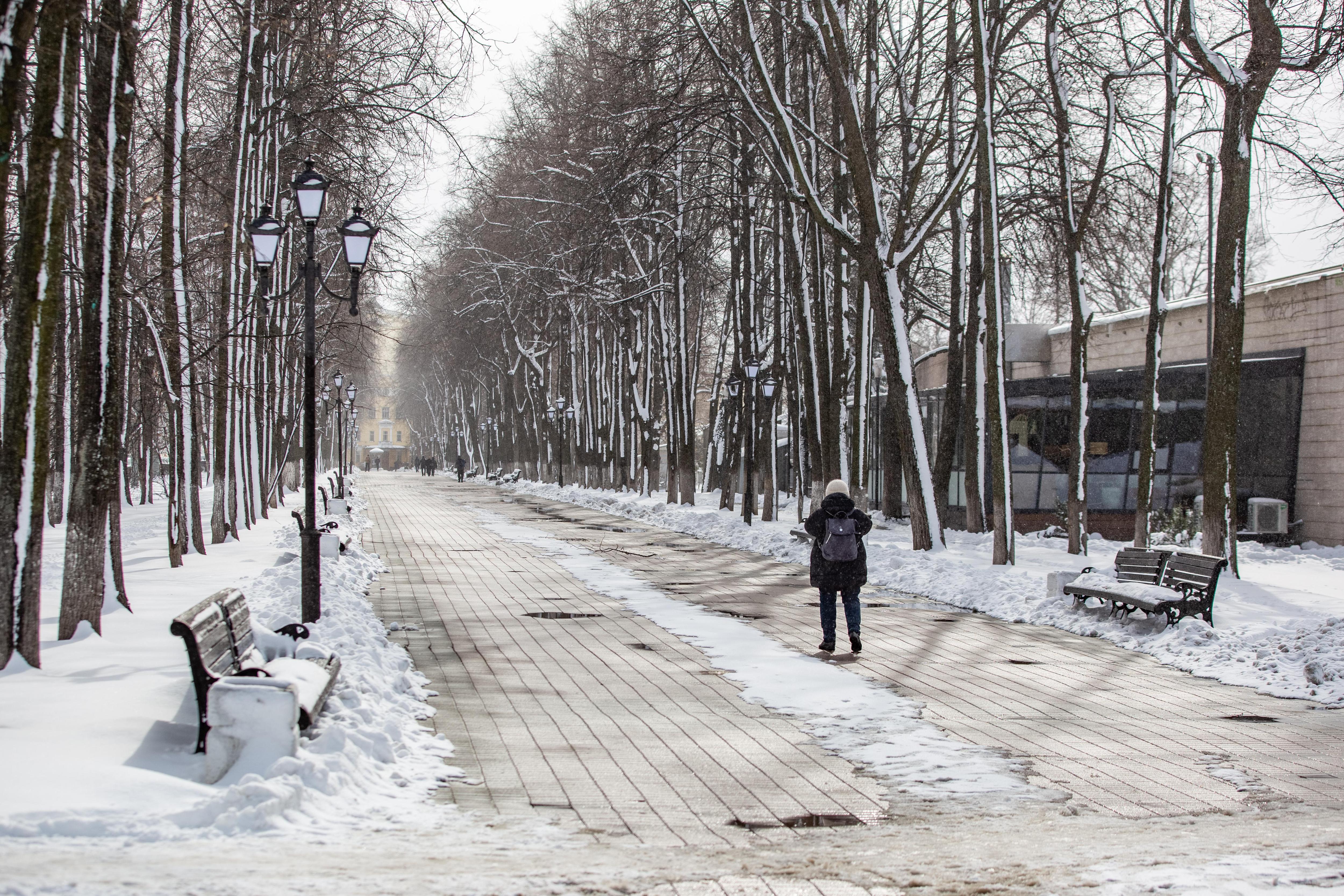 На лавках на Первомайском бульваре сейчас не посидеть | Источник: Кирилл Поверинов / 76.RU