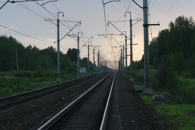 фото носит иллюстративный характер, архив «Фонтанки» | Источник: Михаил Огнев / FONTANKA.RU