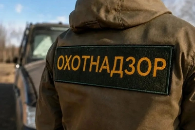 В Забайкалье увеличили число групп для отлова диких животных