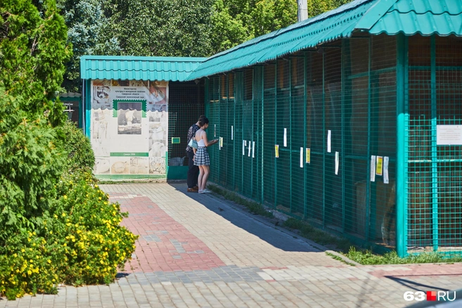 А кто вам больше всего нравился из этой части зоопарка? | Источник: Роман Данилкин / 63.RU