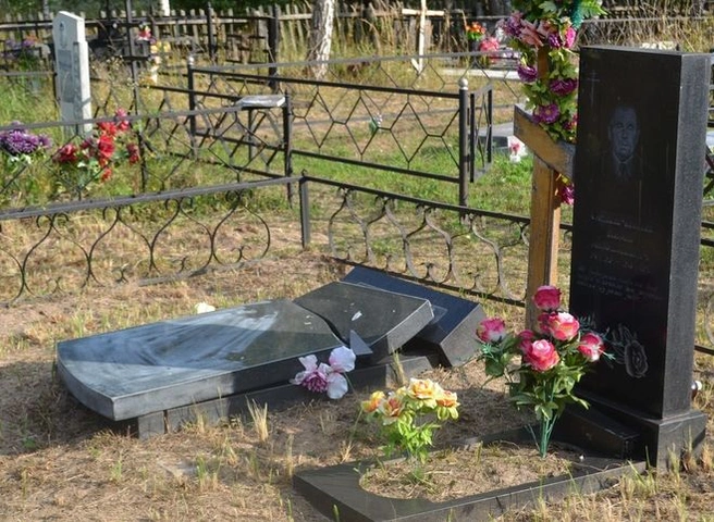 Рязанский подросток разгромил сельское кладбище | ya62.ru