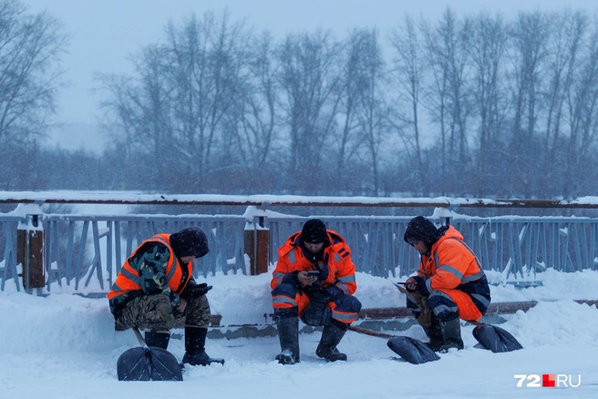 Источник: Ирина Шарова / 72.RU